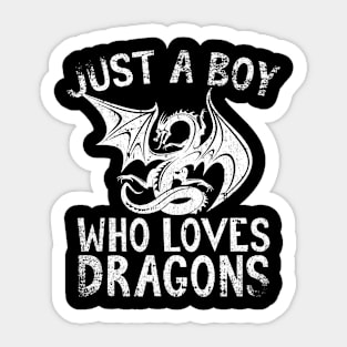 Just A Boy Who Loves Dragons Sticker